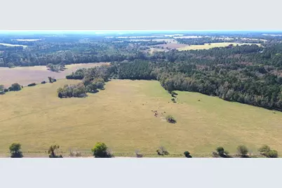 485 Private Road 6142, Grapeland, TX 75844 - Photo 1