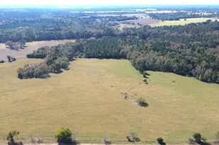 485 Private Rd 6142, Grapeland, TX 75844 - Photo 1