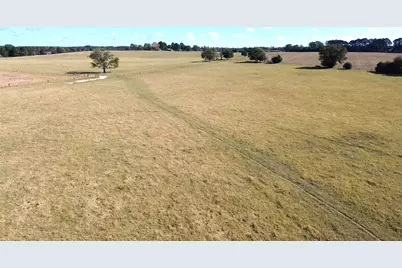 485 Private Road 6142, Grapeland, TX 75844 - Photo 19