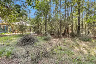 1505 Cheyenne Loop, Montgomery, TX 77316 - Photo 5