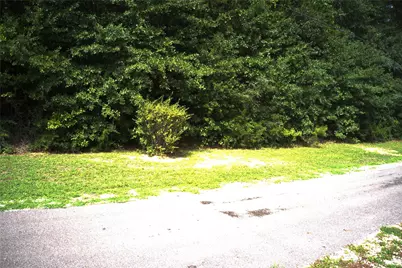 Tba Calvary Church Road Street, Woodville, TX 75979 - Photo 13