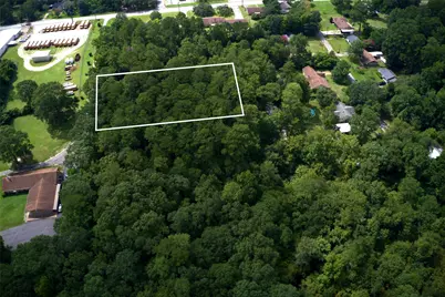 Tba Calvary Church Road Street, Woodville, TX 75979 - Photo 3