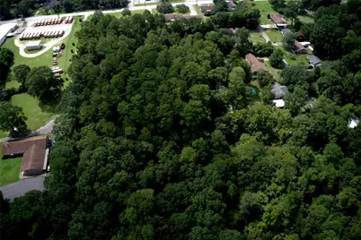 Tba Calvary Church Road Street, Woodville, TX 75979 - Photo 19