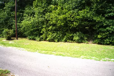 Tba Calvary Church Road Street, Woodville, TX 75979 - Photo 11