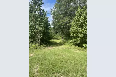 8504 Austin Avenue, Waller, TX 77484 - Photo 3