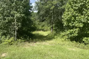 8504 Austin Ave, Waller, TX 77484 - Photo 3