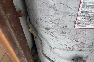 4602 Avenue H, Rosenberg, TX 77471 - Photo 11