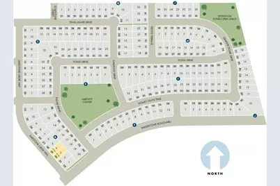 308 Texas Agate Drive, Kyle, TX 78640 - Photo 37