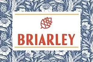 511 Koda Bear Ct, Montgomery, TX 77316 - Photo 29