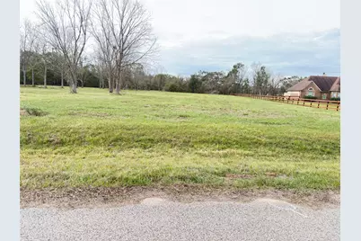 16834 Wrangler Road, Rosharon, TX 77583 - Photo 5