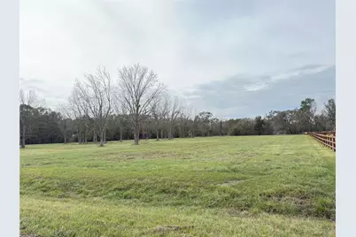 16834 Wrangler Road, Rosharon, TX 77583 - Photo 3