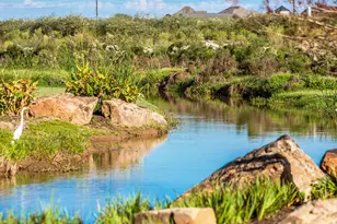 2215 Alabaster Est Dr, Richmond, TX 77469 - Photo 7