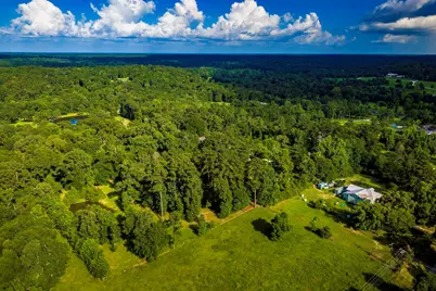 1699 Old Woodville Road, Livingston, TX 77351 - Photo 49