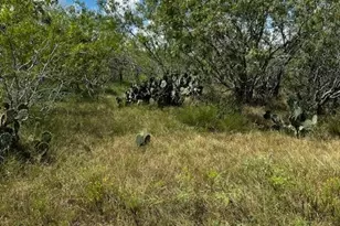 Lot 2 County Road 420, Waelder, TX 78959 - Photo 1