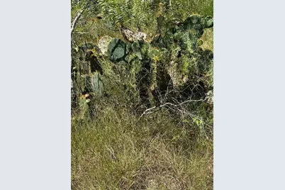 Lot 2 County Road 420, Waelder, TX 78959 - Photo 5