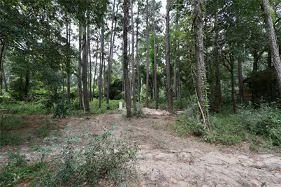 303 Pelican Street, Magnolia, TX 77355 - Photo 39