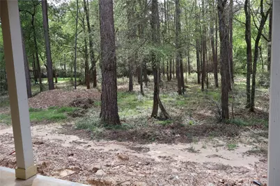 303 Pelican Street, Magnolia, TX 77355 - Photo 29