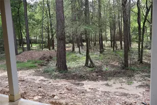 303 Pelican St, Magnolia, TX 77355 - Photo 29