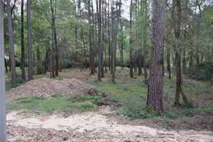 303 Pelican St, Magnolia, TX 77355 - Photo 27