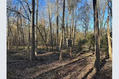 5604 County Road 364, Buffalo, TX 75831 - Photo 7