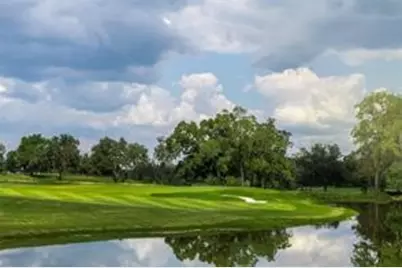 10041 Larkin Cove, Willis, TX 77318 - Photo 43