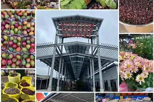 907 Kern St, Houston, TX 77009 - Photo 17