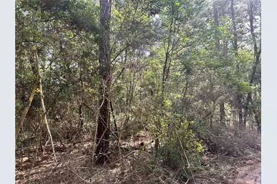 Lot 28 Sycamore Lane, Plantersville, TX 77363 - Photo 1