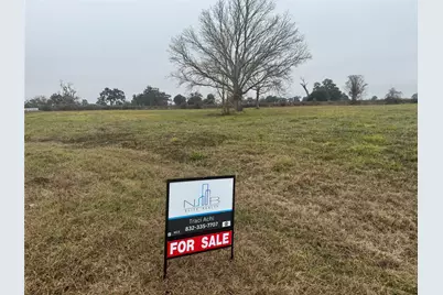 17218 Lucky Horse Drive, Rosharon, TX 77583 - Photo 3