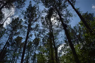 21056 Hereford Way, Cleveland, TX 77328 - Photo 21