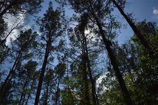 21056 Hereford Way, Cleveland, TX 77328 - Photo 21