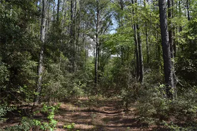 21056 Hereford Way, Cleveland, TX 77328 - Photo 23