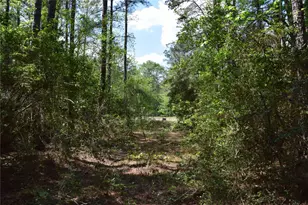 21056 Hereford Way, Cleveland, TX 77328 - Photo 25