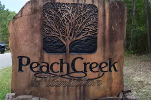 21056 Hereford Way, Cleveland, TX 77328 - Photo 5