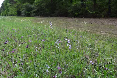 21056 Hereford Way, Cleveland, TX 77328 - Photo 17