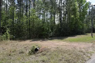 21056 Hereford Way, Cleveland, TX 77328 - Photo 3