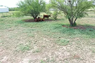 2259 Cr 325, Sabinal, TX 78881 - Photo 35