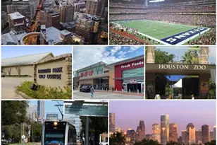 7950 N Stadium Dr, Houston, TX 77030 - Photo 17