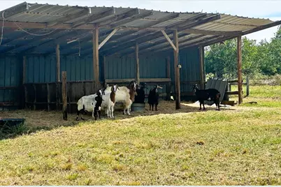 14304 Fm 2354, Beach City, TX 77523 - Photo 23