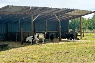 14304 Fm 2354, Beach City, TX 77523 - Photo 23