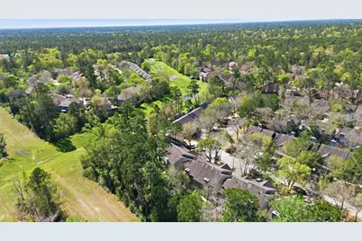 151 Anise Tree Place, The Woodlands, TX 77382 - Photo 33