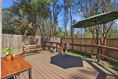 151 Anise Tree Place, The Woodlands, TX 77382 - Photo 5