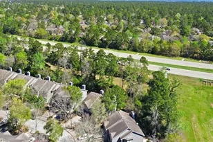 151 Anise Tree Pl, The Woodlands, TX 77382 - Photo 29