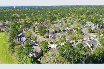 151 Anise Tree Place, The Woodlands, TX 77382 - Photo 31