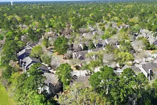 151 Anise Tree Pl, The Woodlands, TX 77382 - Photo 31