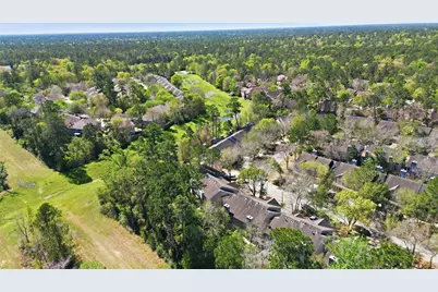 151 Anise Tree Place, The Woodlands, TX 77382 - Photo 33
