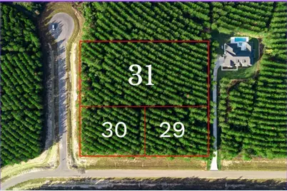 10517 Legends Road, Willis, TX 77378 - Photo 5