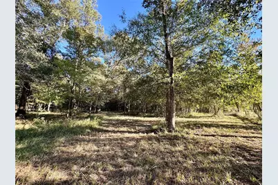 Tbd County Road 2300 N, Cleveland, TX 77327 - Photo 23