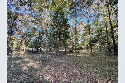 Tbd County Road 2300 N, Cleveland, TX 77327 - Photo 19