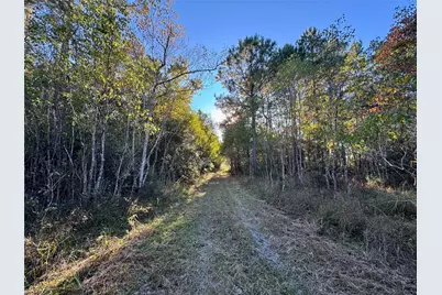 Tbd County Road 2300 N, Cleveland, TX 77327 - Photo 33