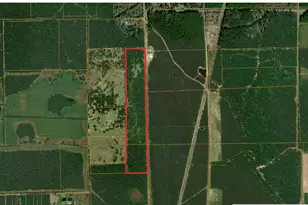 1130 County Rd 2300, Cleveland, TX 77327 - Photo 1